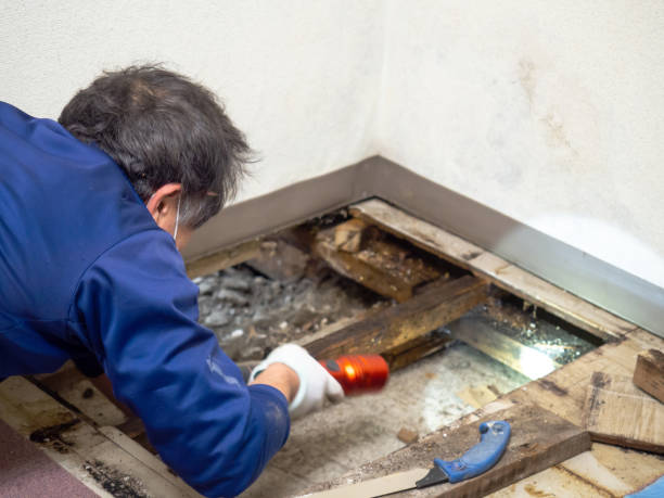 Best Certified Mold Removal  in Aspinwall, PA