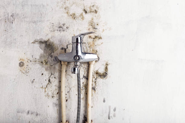 Best Certified Mold Removal  in Aspinwall, PA