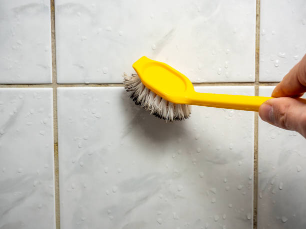 Best Emergency Mold Removal  in Aspinwall, PA