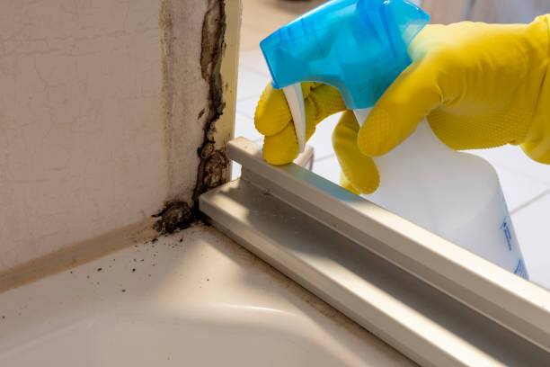 Best Mold Cleaning Services  in Aspinwall, PA