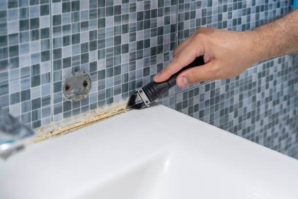 Professional Mold Removal in Aspinwall, PA