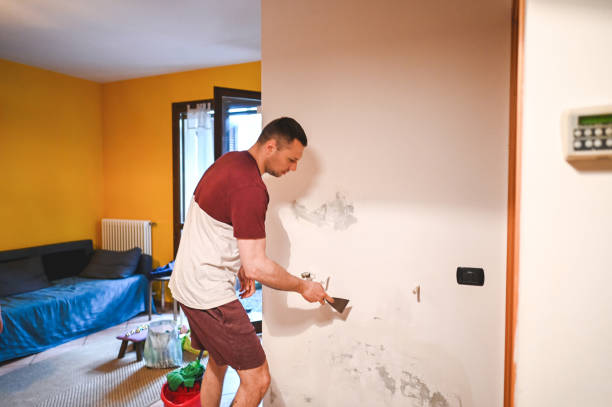 Best Mold Testing  in Aspinwall, PA