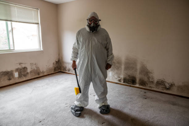 Mold Testing and Removal in Aspinwall, PA